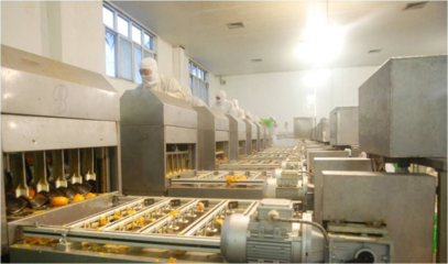 以“新”賦能,“味”見未來!豐島食品走出綠色智造之路