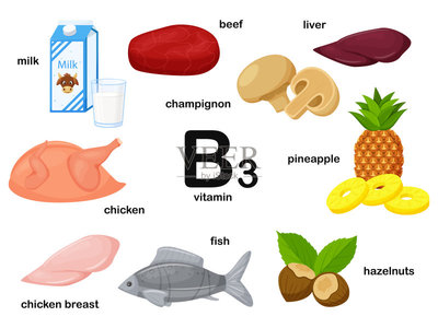 含有維生素B3的食品的長(zhǎng)方形海報(bào)。煙酸。醫(yī)學(xué),飲食,健康飲食,信息圖表。產(chǎn)品名稱。扁平的卡通食物插圖孤立在白色的背景上。插畫素材