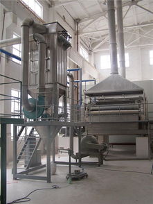 預(yù)糊化淀粉加工設(shè)備哪家好 東臺市食品機械廠公司