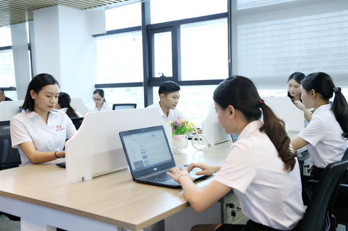新公司注冊(cè)后，選擇代理記賬的三大好處與明智決策指南