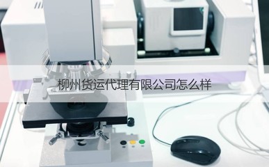 柳州貨運(yùn)代理市場(chǎng)分析 優(yōu)質(zhì)企業(yè)盤(pán)點(diǎn)與商務(wù)代辦服務(wù)指南
